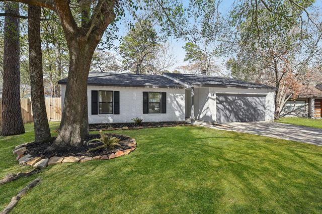 14 Fiddleleaf Court, The Woodlands, TX 77381