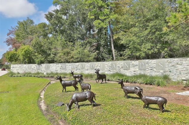 14 Fiddleleaf Court, The Woodlands, TX 77381