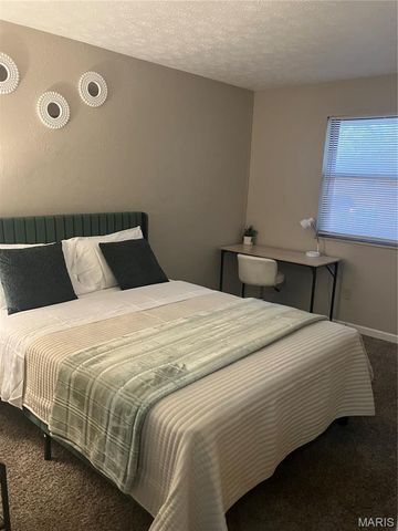 1009 Belle Valley Drive 8, Belleville, IL 62220