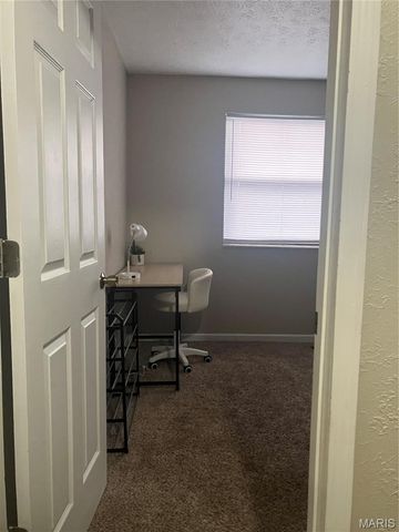 1009 Belle Valley Drive 8, Belleville, IL 62220