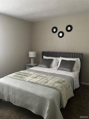 1009 Belle Valley Drive 8, Belleville, IL 62220