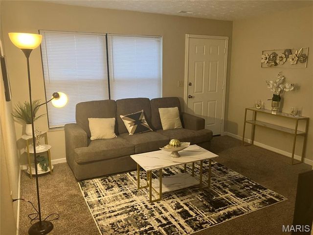 1009 Belle Valley Drive 8, Belleville, IL 62220