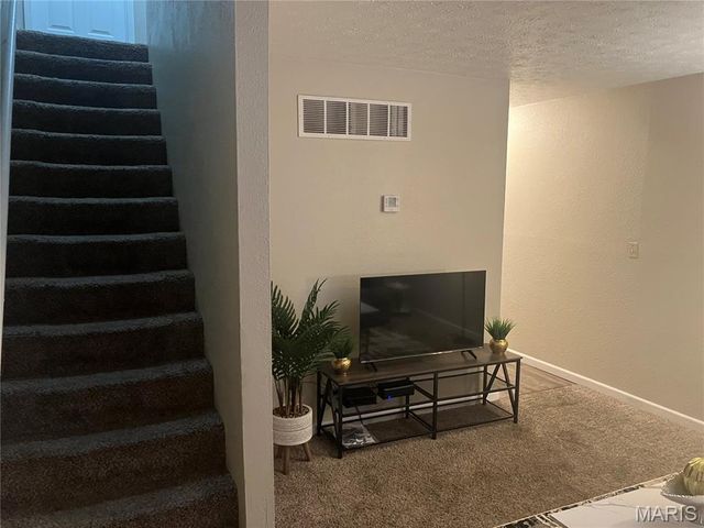 1009 Belle Valley Drive 8, Belleville, IL 62220