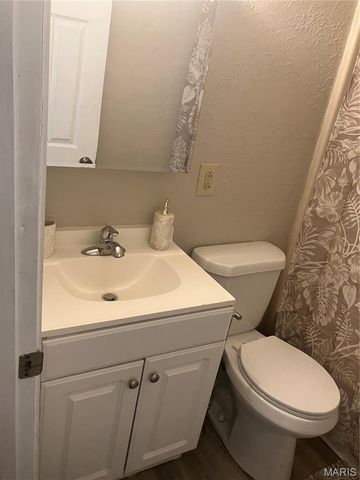 1009 Belle Valley Drive 8, Belleville, IL 62220