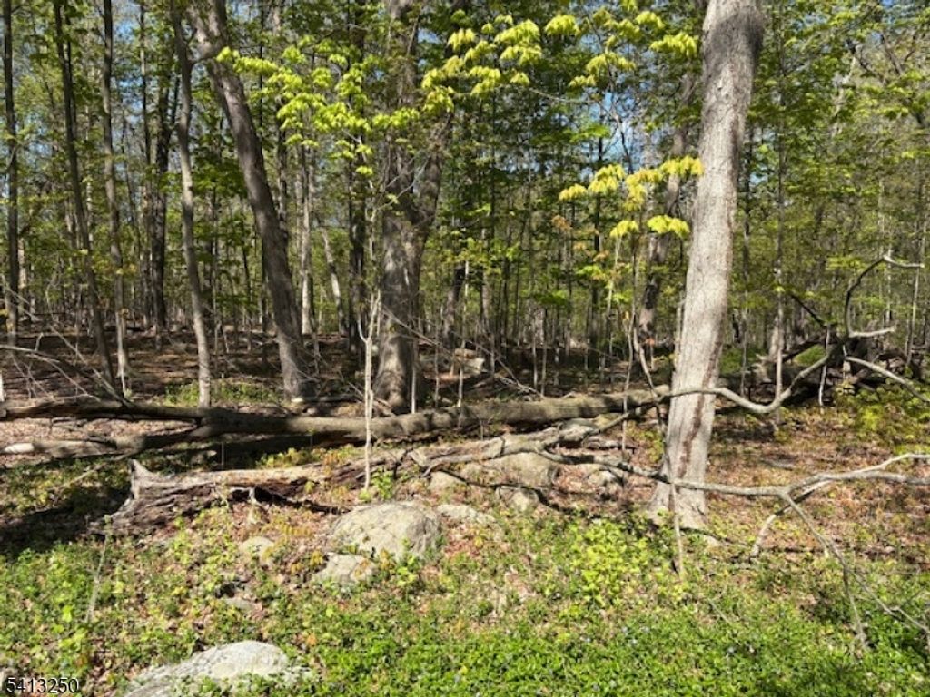 0 Schoolhouse Rd, Jefferson Twp., NJ 07438 — photo 2