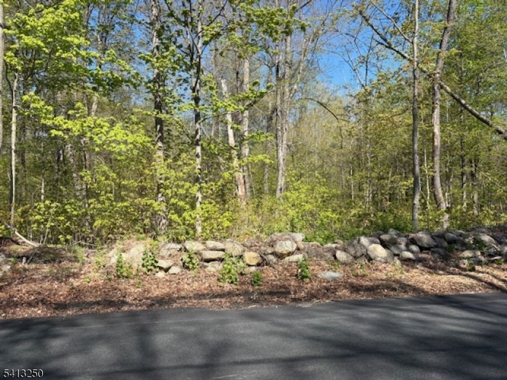 0 Schoolhouse Rd, Jefferson Twp., NJ 07438 — photo 3