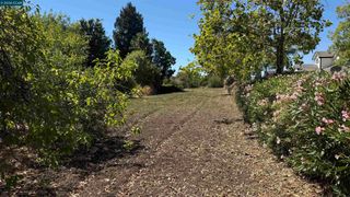 1819 Ayers Rd, Concord, CA 94521