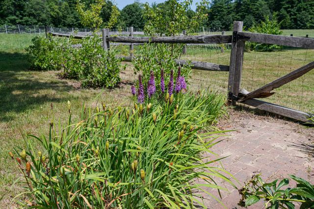 592 Abbot Hill Road, Wilton, NH 03086