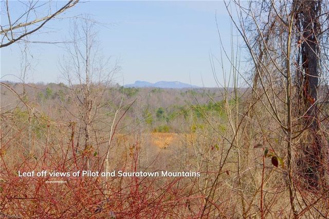 5 Roby Fulk Road, Pinnacle, NC 27043