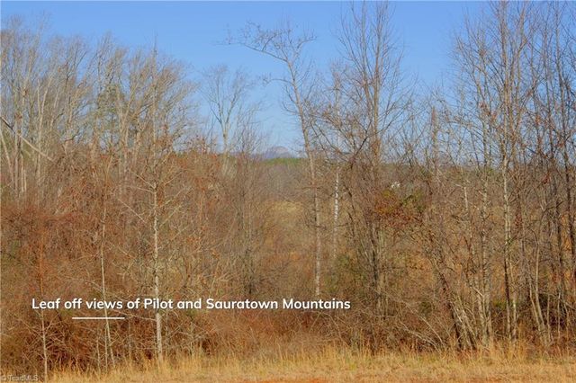 5 Roby Fulk Road, Pinnacle, NC 27043