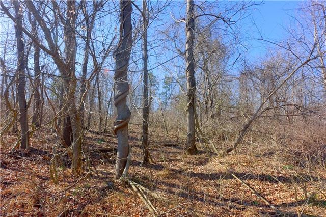 5 Roby Fulk Road, Pinnacle, NC 27043