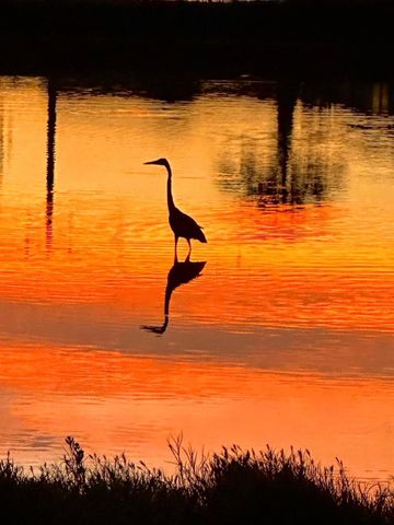 422 Windward Way, Tiki Island, TX 77554