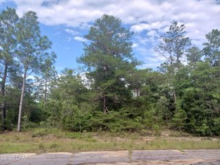 Lot 16 Statler Avenue, Chipley, FL 32428