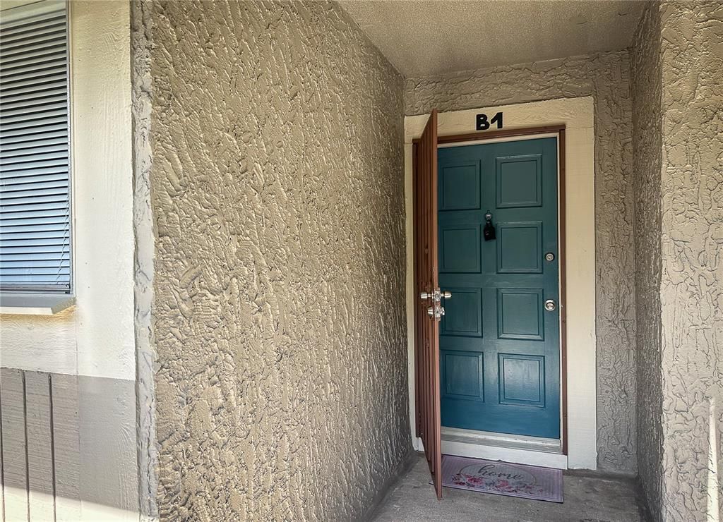 6336 NEWTOWN CIRCLE 36B1, Tampa, FL 33615