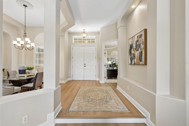 19117 MANDARIN GROVE PLACE, Tampa, FL 33647