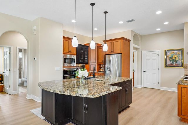 19117 MANDARIN GROVE PLACE, Tampa, FL 33647