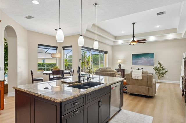 19117 MANDARIN GROVE PLACE, Tampa, FL 33647