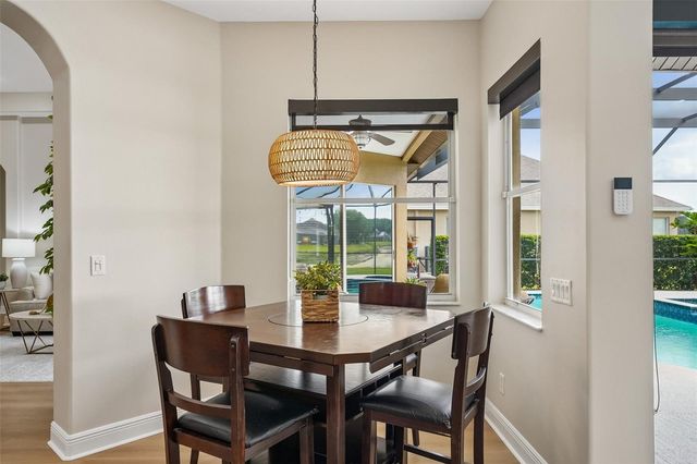 19117 MANDARIN GROVE PLACE, Tampa, FL 33647