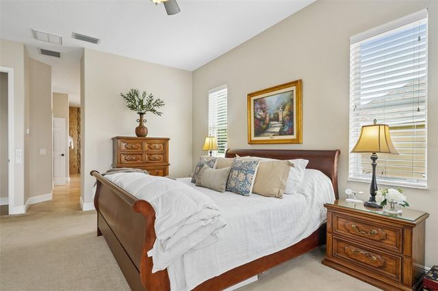 19117 MANDARIN GROVE PLACE, Tampa, FL 33647