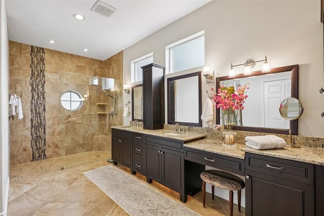 19117 MANDARIN GROVE PLACE, Tampa, FL 33647