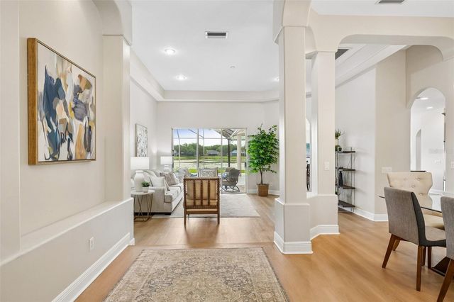 19117 MANDARIN GROVE PLACE, Tampa, FL 33647