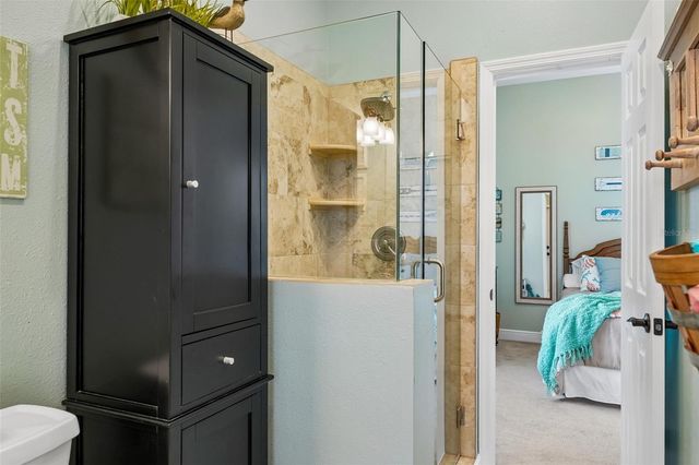 19117 MANDARIN GROVE PLACE, Tampa, FL 33647