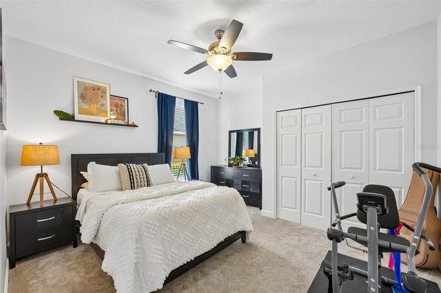19117 MANDARIN GROVE PLACE, Tampa, FL 33647