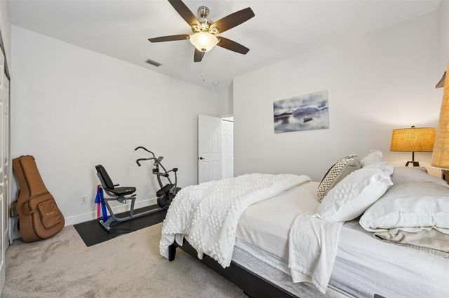 19117 MANDARIN GROVE PLACE, Tampa, FL 33647