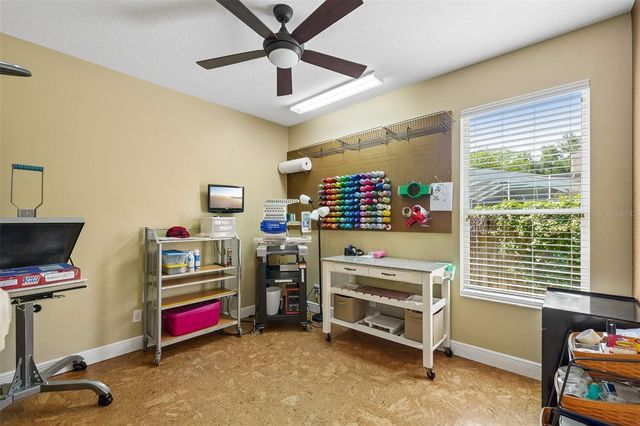 19117 MANDARIN GROVE PLACE, Tampa, FL 33647