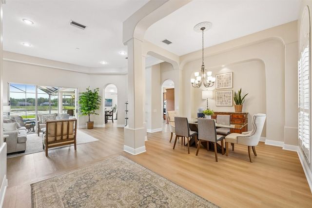19117 MANDARIN GROVE PLACE, Tampa, FL 33647