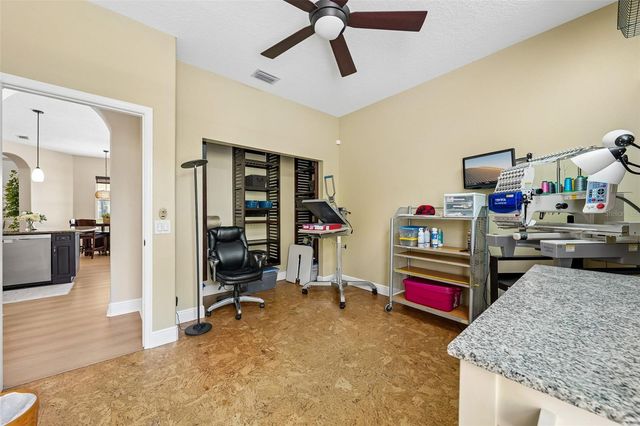 19117 MANDARIN GROVE PLACE, Tampa, FL 33647