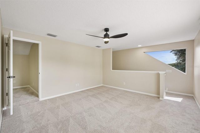 19117 MANDARIN GROVE PLACE, Tampa, FL 33647