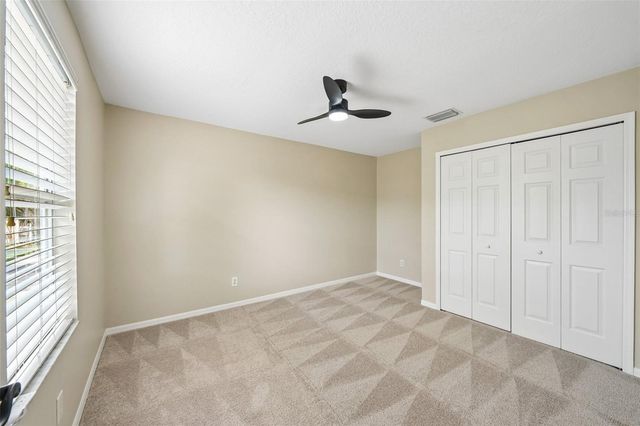 19117 MANDARIN GROVE PLACE, Tampa, FL 33647