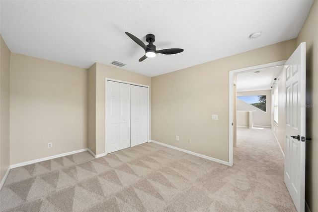 19117 MANDARIN GROVE PLACE, Tampa, FL 33647