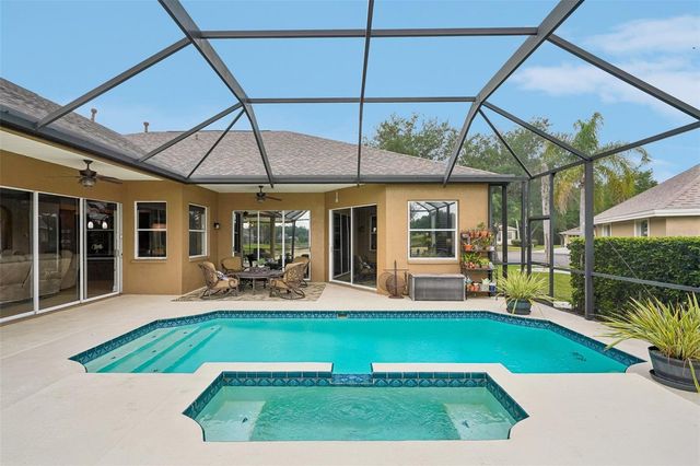 19117 MANDARIN GROVE PLACE, Tampa, FL 33647