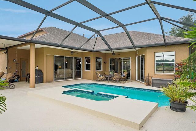 19117 MANDARIN GROVE PLACE, Tampa, FL 33647