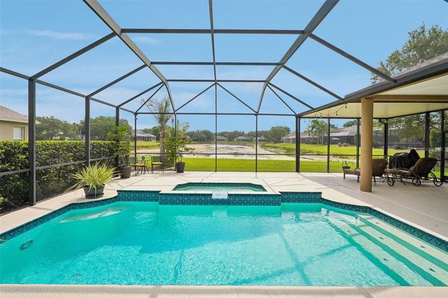 19117 MANDARIN GROVE PLACE, Tampa, FL 33647