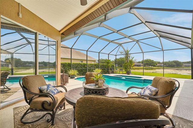 19117 MANDARIN GROVE PLACE, Tampa, FL 33647