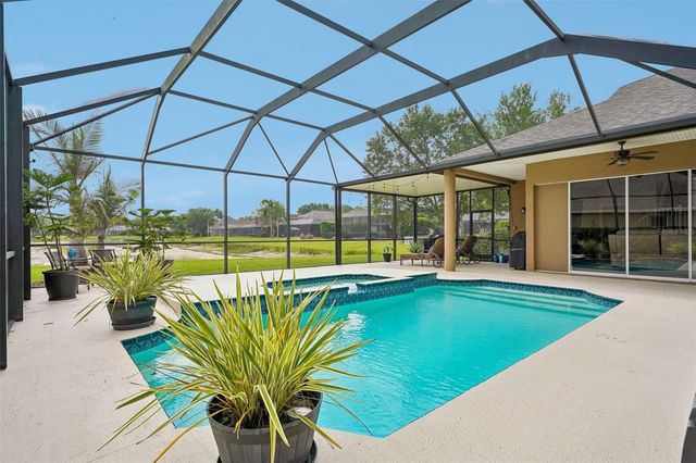 19117 MANDARIN GROVE PLACE, Tampa, FL 33647