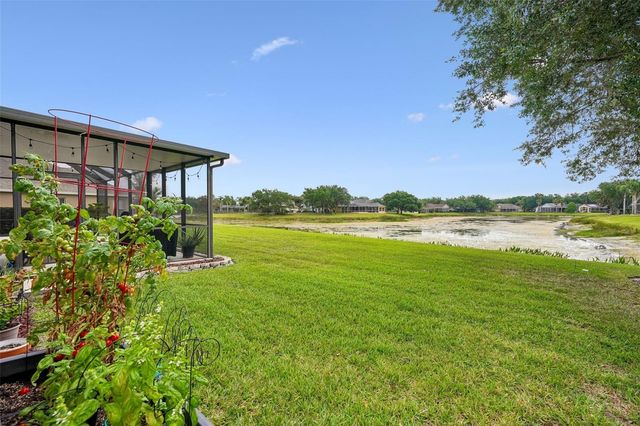19117 MANDARIN GROVE PLACE, Tampa, FL 33647