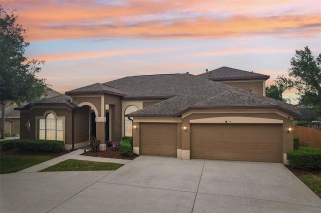 19117 MANDARIN GROVE PLACE, Tampa, FL 33647