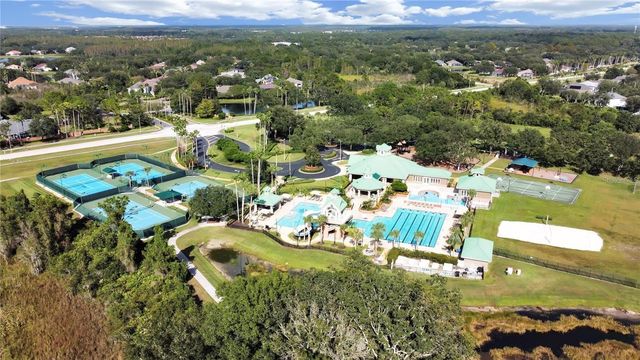 19117 MANDARIN GROVE PLACE, Tampa, FL 33647