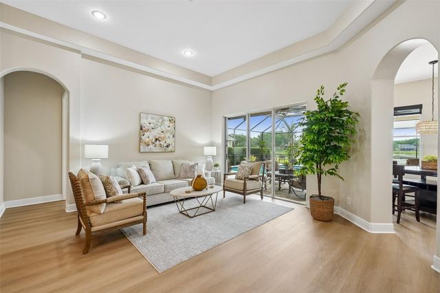 19117 MANDARIN GROVE PLACE, Tampa, FL 33647