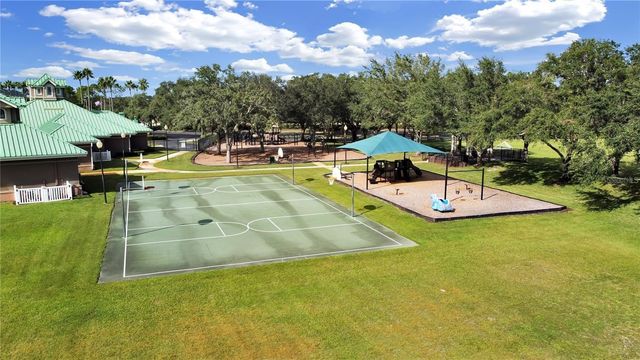 19117 MANDARIN GROVE PLACE, Tampa, FL 33647