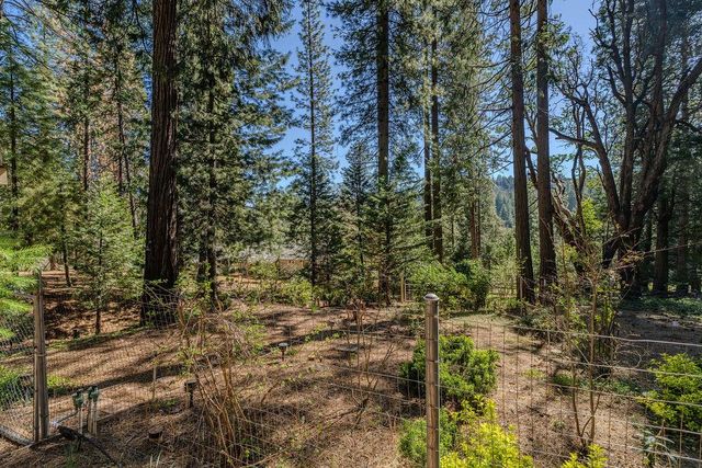 26290 Parkwood Dr, Pioneer, CA 95666