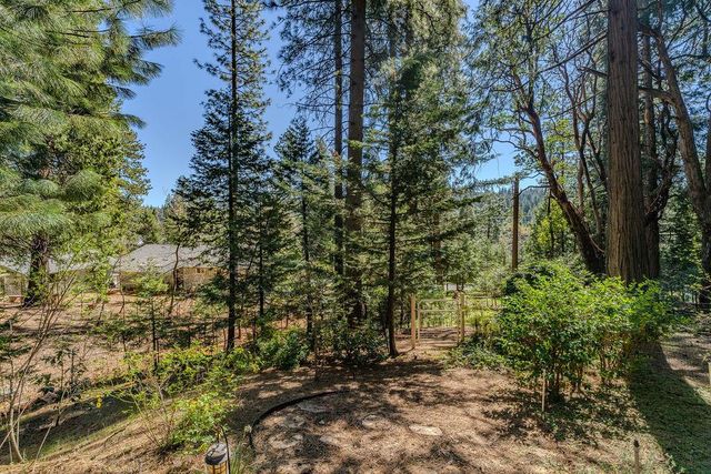 26290 Parkwood Dr, Pioneer, CA 95666