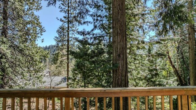 26290 Parkwood Dr, Pioneer, CA 95666