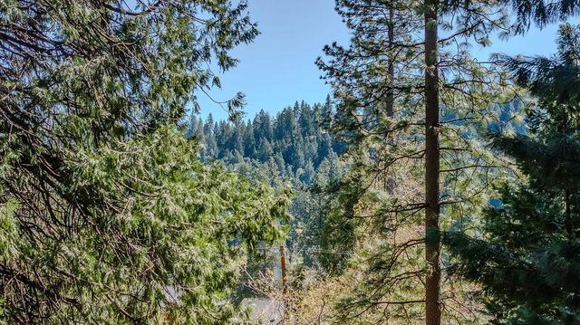 26290 Parkwood Dr, Pioneer, CA 95666