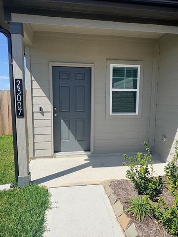 23007 Daftmill Drive, Waller, TX 77484