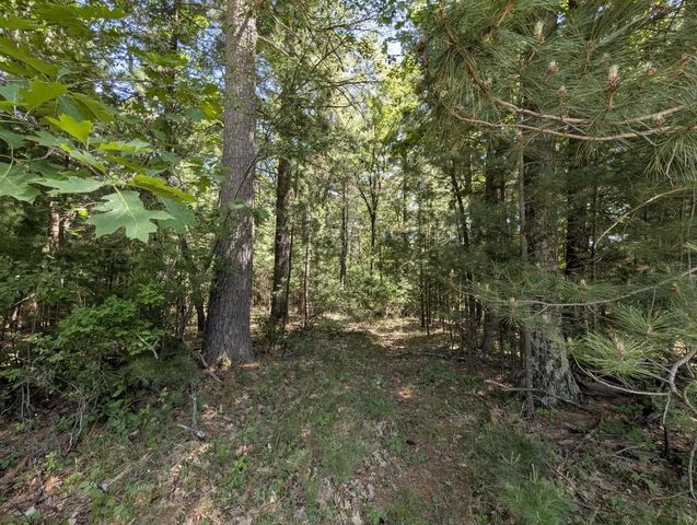 0.57 Ac HIGHWAY 13, Friendship, WI 53934